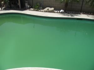 14769 Goldenrain (Before)_300