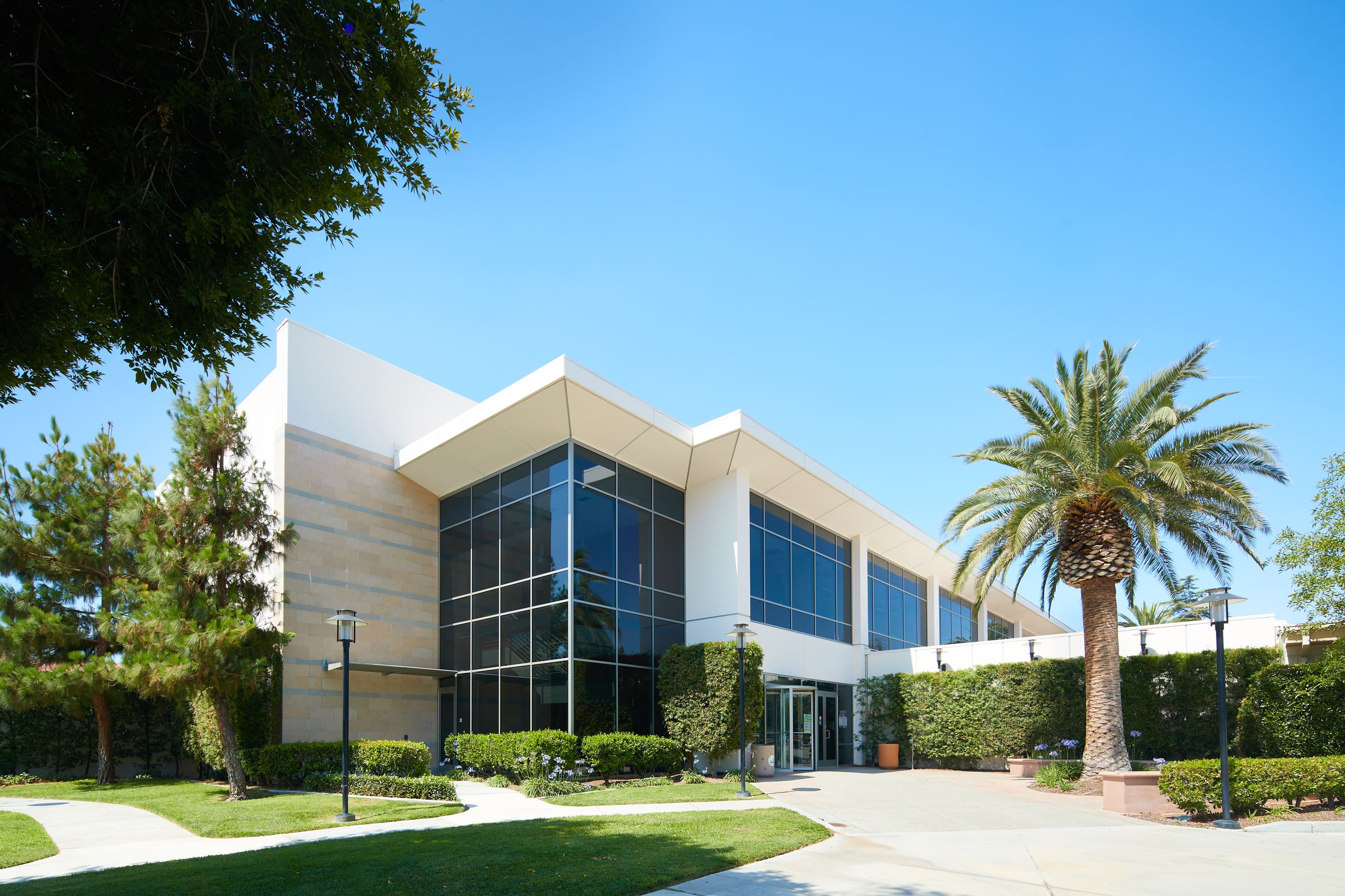 Development Services Organization